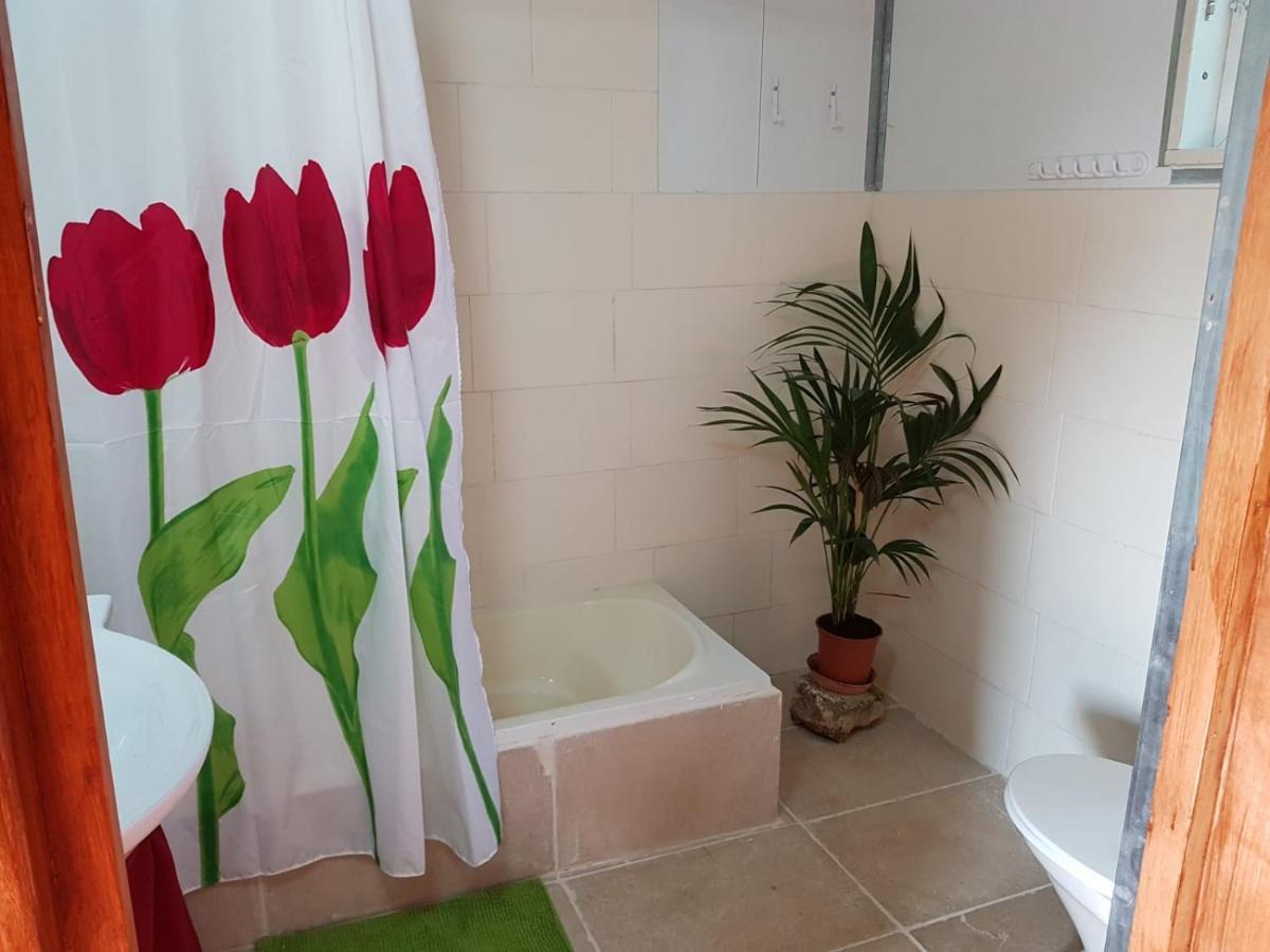 Apartament יורט מונגולי Matzuva Zewnętrze zdjęcie